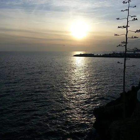 Tot Gaviota * Sitges